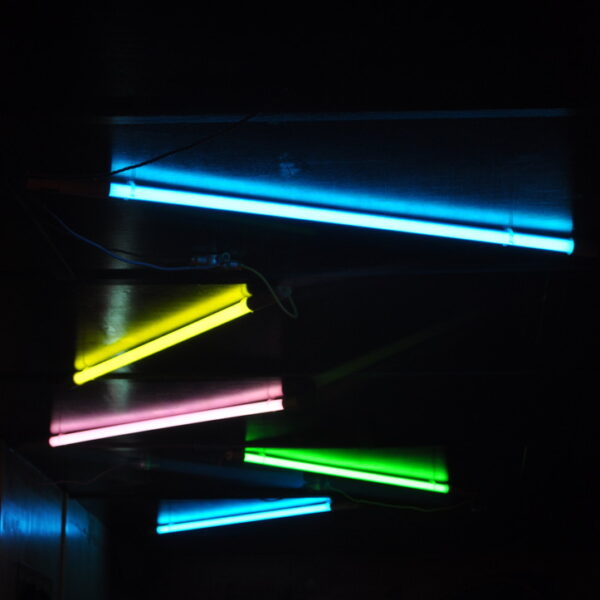 Alex Coyle Art - Photography