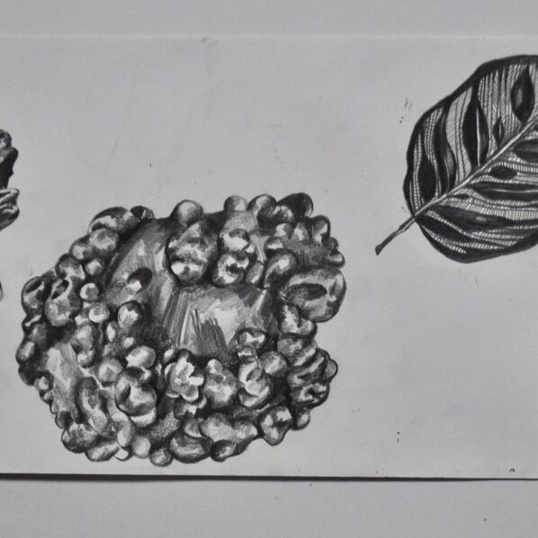 Alex Coyle Art - Drawings