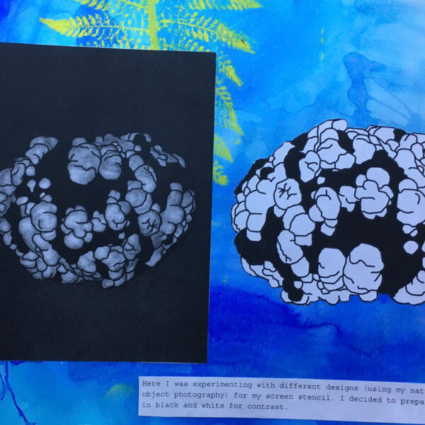 Alex Coyle Art - Printmaking